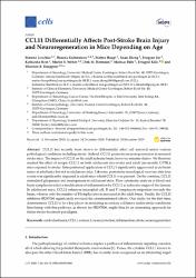 Küçük Resim